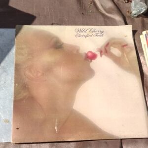 Wild Cherry Electrified Funk Vinyl Record